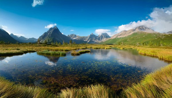 Voyage : comment maximiser votre expérience inoubliable ?